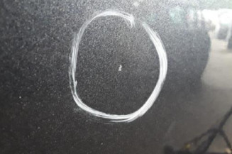 Porte arriere droit RENAULT MEGANE 3 Photo n°3