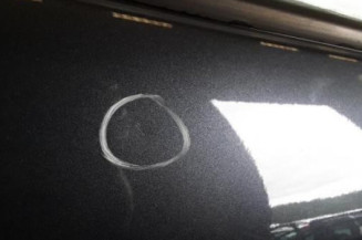 Porte arriere droit RENAULT MEGANE 3 Photo n°5