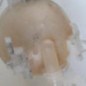Vase d'expansion CITROEN C4 PICASSO 2