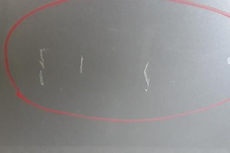 Porte arriere droit RENAULT MEGANE 3 Photo n°5