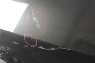 Porte arriere droit OPEL INSIGNIA 1
