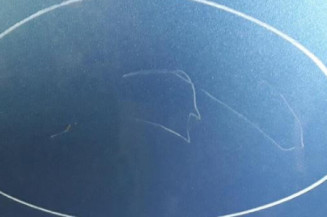 Porte arriere gauche VOLKSWAGEN GOLF 5
