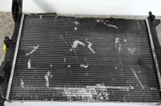 Radiateur eau FORD GRAND C-MAX 2 Photo n°1