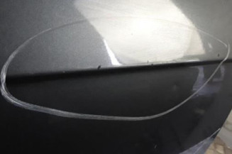 Porte avant droit AUDI A3 2 Photo n°4