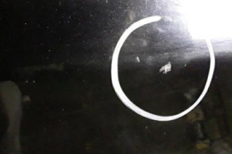 Porte avant droit FORD FOCUS 2 Photo n°4