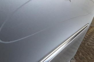 Porte arriere gauche MERCEDES CLASSE E 211 Photo n°3