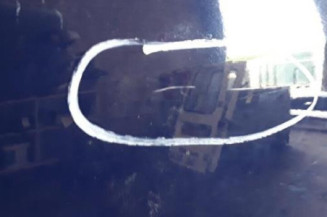 Porte avant gauche RENAULT SCENIC 3