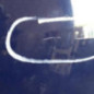 Porte avant gauche RENAULT SCENIC 3