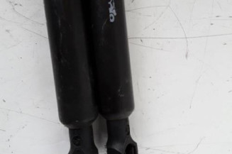 Verin de coffre RENAULT MODUS