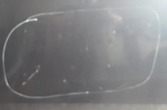 Porte avant gauche OPEL CORSA D Photo n°3