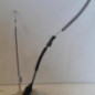 Serrure avant droit CITROEN DS4