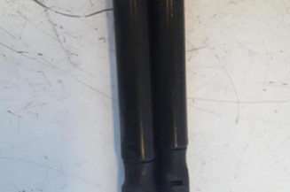 Verin de coffre CITROEN DS4