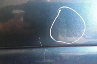 Porte avant droit RENAULT MEGANE 1 Photo n°3