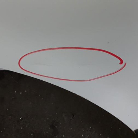 Porte avant gauche OPEL MOVANO A