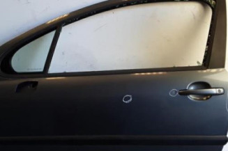 Porte avant gauche PEUGEOT 207 Photo n°1