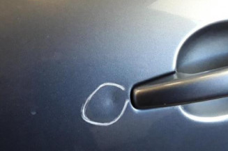 Porte avant gauche PEUGEOT 207 Photo n°3