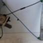 Leve vitre electrique avant droit CITROEN C2