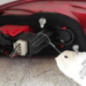 Feu arriere principal droit (feux) ALFA ROMEO 159
