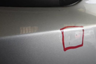 Porte avant droit FIAT DOBLO 1 Photo n°3
