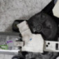 Moteur essuie glace arriere RENAULT SCENIC 2