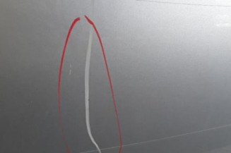 Porte avant gauche CITROEN C3 PLURIEL