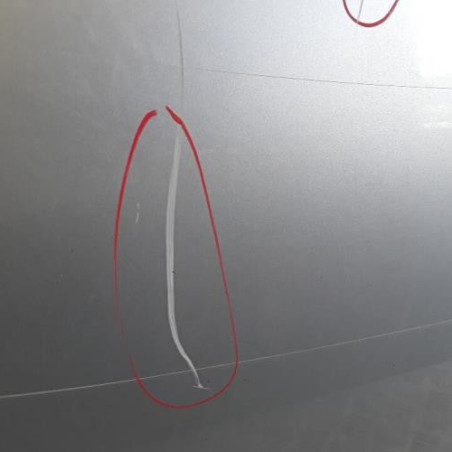 Porte avant gauche CITROEN C3 PLURIEL