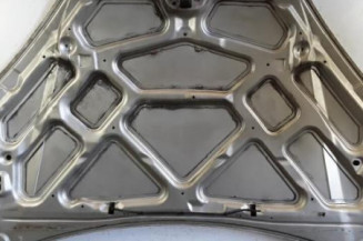 Capot FORD FOCUS 1 Photo n°3