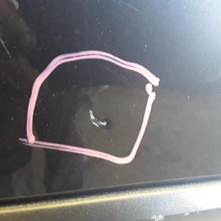 Porte arriere gauche RENAULT LAGUNA 3