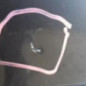 Porte arriere gauche RENAULT LAGUNA 3