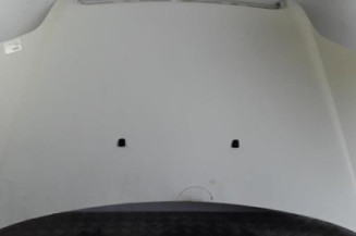 Capot FIAT DOBLO 1 Photo n°1