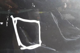 Porte avant gauche PEUGEOT 206