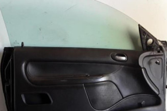Porte avant gauche PEUGEOT 206 Photo n°3