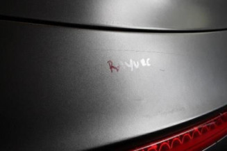 Malle/Hayon arriere AUDI TT 2