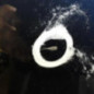 Porte arriere gauche NISSAN QASHQAI 1