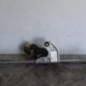 Moteur essuie glace avant MINI MINI 2 R56