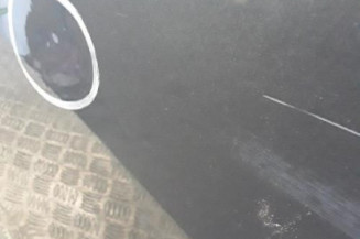 Porte arriere gauche CITROEN C4 1 Photo n°3
