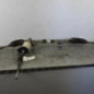 Cremaillere assistee RENAULT SCENIC 3