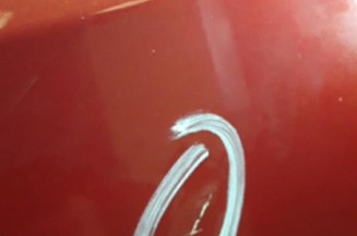 Porte avant gauche FIAT QUBO Photo n°5