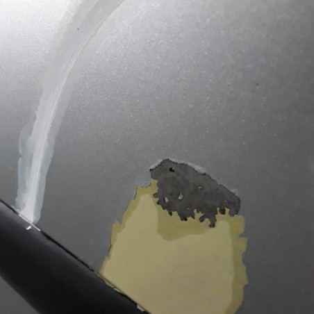 Porte avant gauche CITROEN C4 PICASSO 1