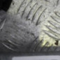 Moteur essuie glace avant PEUGEOT 207