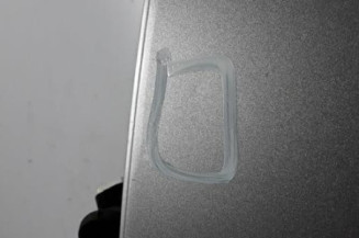 Porte arriere gauche NISSAN MURANO 1
