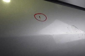 Porte avant droit NISSAN MURANO 1