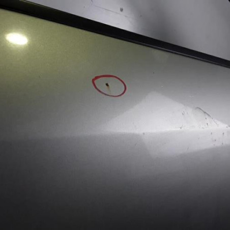 Porte avant droit NISSAN MURANO 1