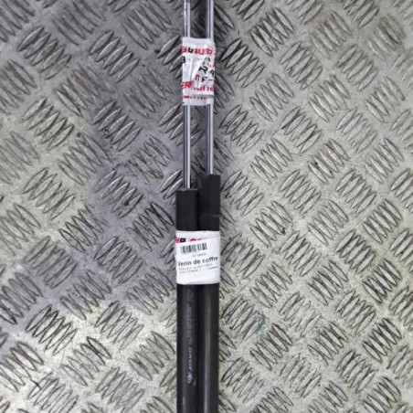 Verin de coffre RENAULT CLIO 3