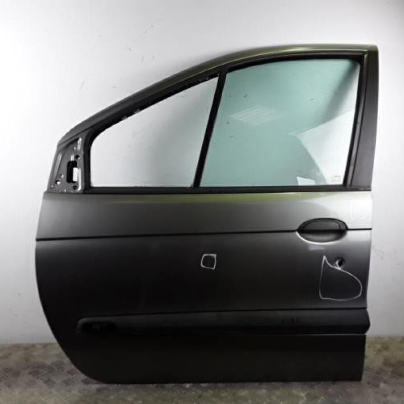 Porte avant gauche RENAULT SCENIC 1
