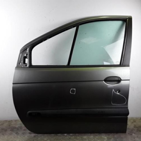 Porte avant gauche RENAULT SCENIC 1 Photo n°1