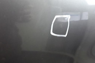 Porte avant gauche RENAULT SCENIC 1