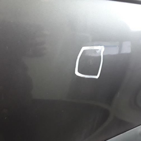 Porte avant gauche RENAULT SCENIC 1