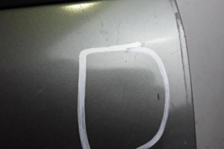 Porte avant gauche RENAULT SCENIC 1 Photo n°5