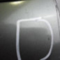 Porte avant gauche RENAULT SCENIC 1